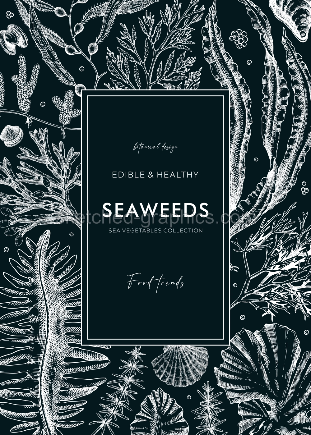 Hand-drawn seaweeds frame design. Edible algae in sketch style. Underwater plants vector illustration with kelp, wakame, kombu, and hijiki drawings. Healthy food ingredients banner on chalkboard Illustration